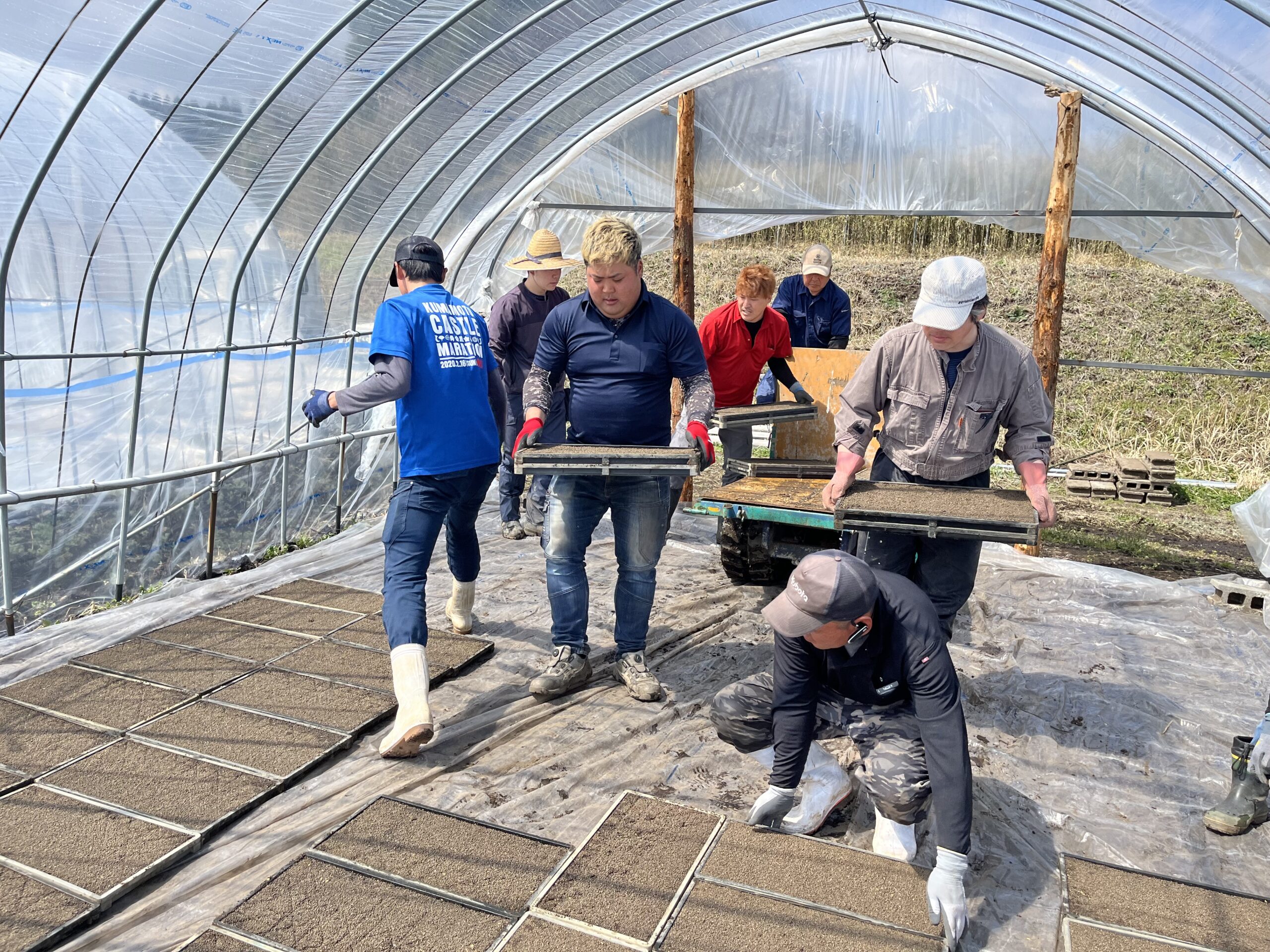 種苗発芽作業の様子