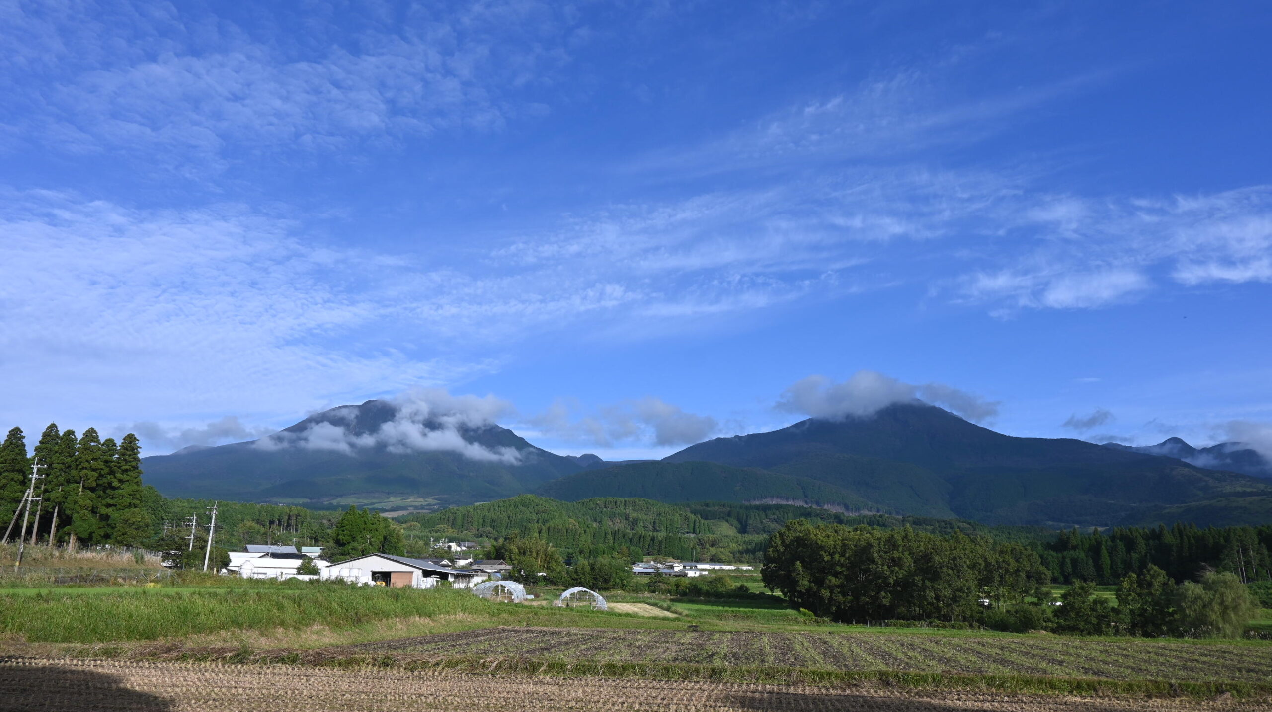 くじゅう山の麓 かざまる農場