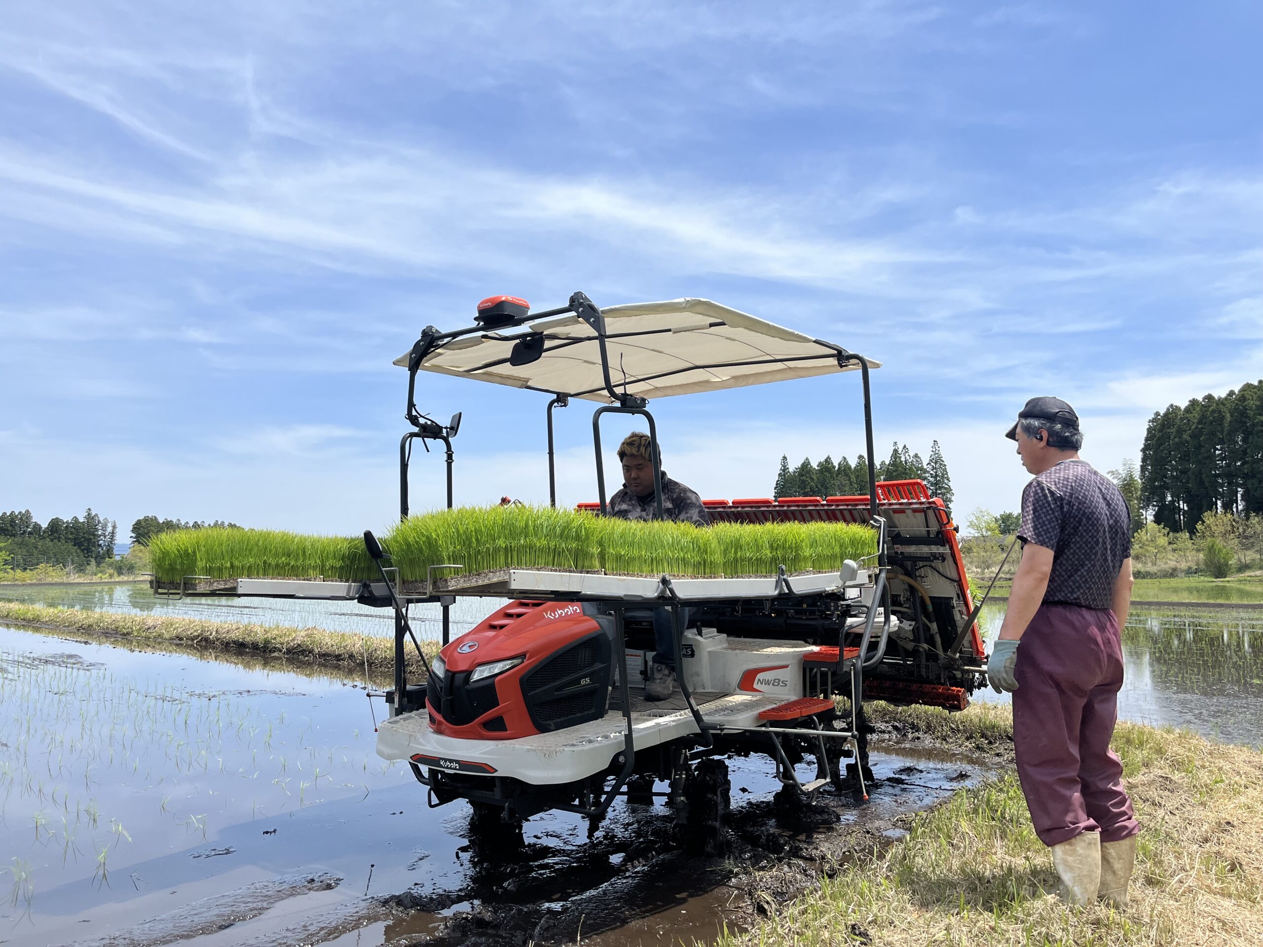 田植機での植付けの様子